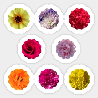 Natural Flowers Photo Multi Pack Sticker